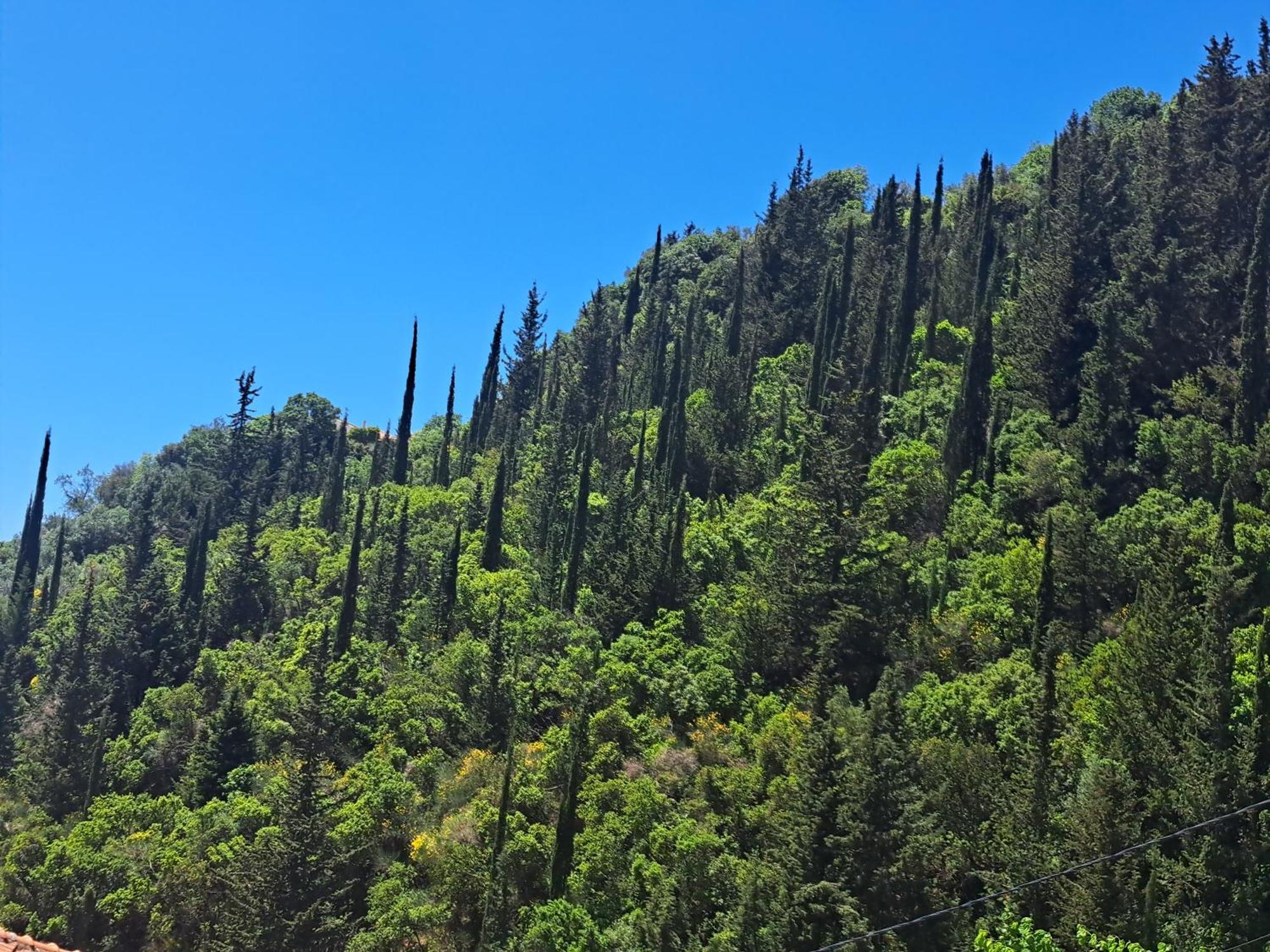 Sogno 2 Villa Párga Kültér fotó